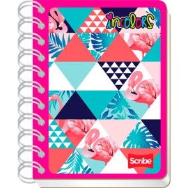 LIBRETA APUNTES SCRIBE INCOLOR RIG DO POCKET 80H RAY