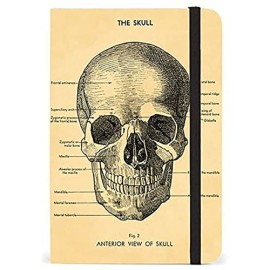 Libreta Cavallini Skull 10x15cm raya
