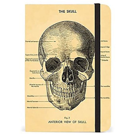 Libreta Cavallini Skull 10x15cm raya
