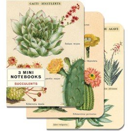 Mini libreta Cavallini Succulents paquete con 3 piezas
