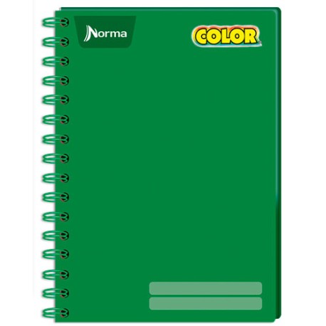 CUADERNO PROFESIONAL NORMA COLOR CUADRO CHICO 100 HOJAS
