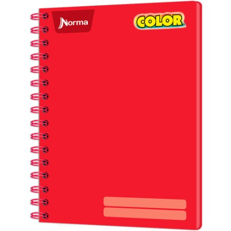 CUADERNO PROFESIONAL NORMA COLOR BLANCO 100 HOJAS