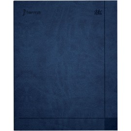 CUADERNO FORMA FRANCESA NORMA DAIL RAYA 100 HOJAS