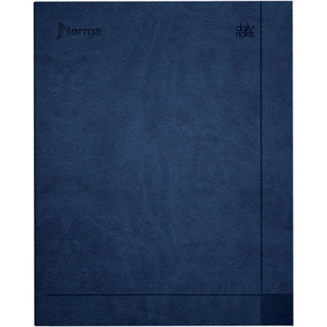 CUADERNO FORMA FRANCESA NORMA DAIL RAYA 100 HOJAS