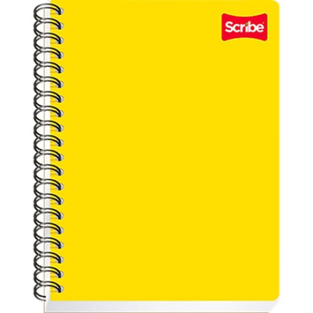 CUADERNO PROFESIONAL SCRIBE CLASICO RIG DO PROFESIONAL 100 HOJAS £É BCO