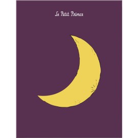 Libreta Moleskine Le Petit Prince Set Edicion Limitada Libreta + Chaier