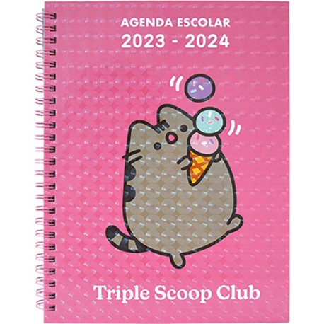 Agenda escolar Danpex Pusheen 17x22cm 23/24 rosa