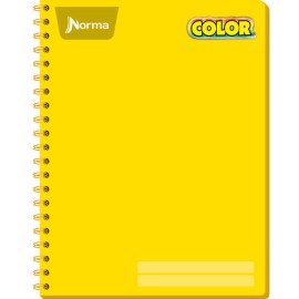 CUADERNO PROFESIONAL NORMA COLOR 360 200 HOJAS CUADRO GRANDE