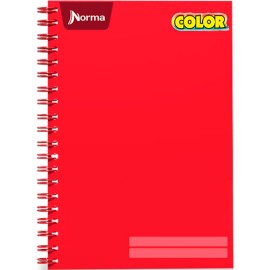 CUADERNO PROFESIONAL NORMA COLOR CUADRO GRANDE 100 HOJAS