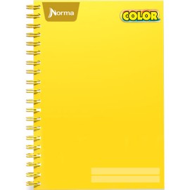 CUADERNO PROFESIONAL NORMA COLOR RAYA 100 HOJAS