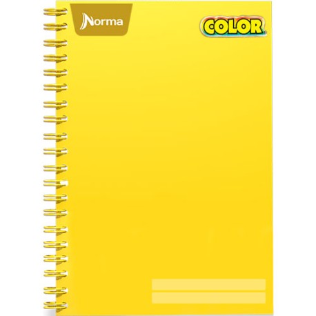 CUADERNO PROFESIONAL NORMA COLOR RAYA 100 HOJAS