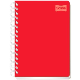 CUADERNO FORMA FRANCESA SCRIBE POLYCOVER CUADRO CHICO 100 HOJAS